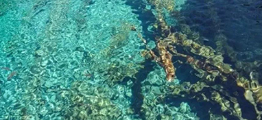 水質(zhì)怎么分類的？
